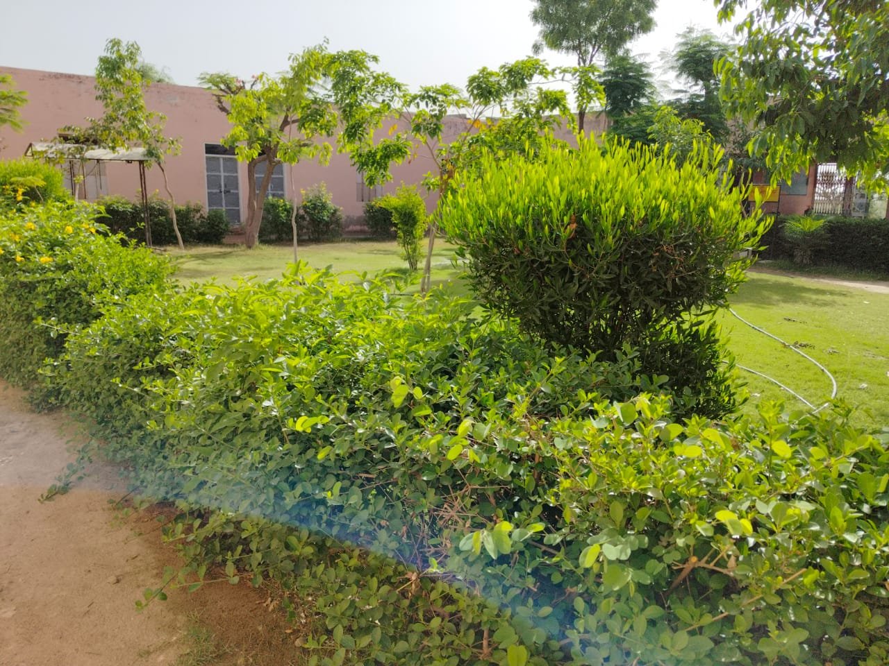 Bihari Lal PG College Gadrata